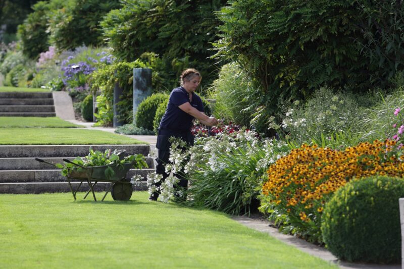 gardening at The Grove